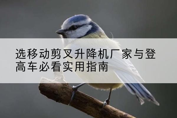 大通电动升降机厂家-选移动剪叉升降机厂家与登高车必看实用指南