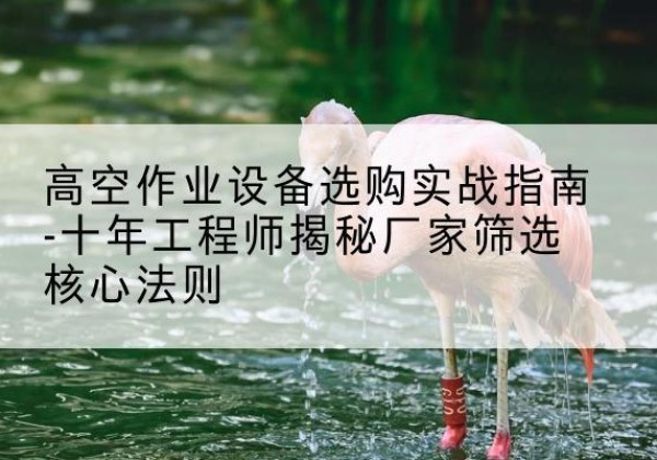 大通剪叉式升降机厂家-高空作业设备选购实战指南-十年工程师揭秘厂家筛选核心法则